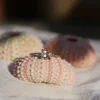 Bague Flora morga