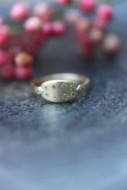 Bague Mauro