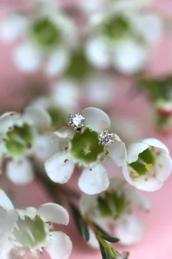 Boucles Pam