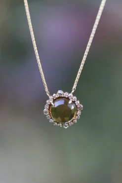 Collier Palm